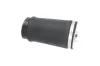 Luftfeder, Fahrwerk Hinterachse links KAVO PARTS SAS-10035 Bild Luftfeder, Fahrwerk Hinterachse links KAVO PARTS SAS-10035