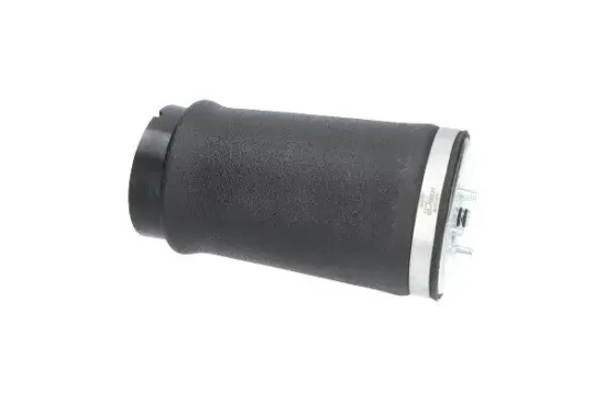 Luftfeder, Fahrwerk Hinterachse links KAVO PARTS SAS-10035 Bild Luftfeder, Fahrwerk Hinterachse links KAVO PARTS SAS-10035