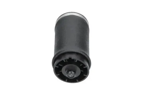 Luftfeder, Fahrwerk Hinterachse links KAVO PARTS SAS-10035 Bild Luftfeder, Fahrwerk Hinterachse links KAVO PARTS SAS-10035