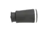 Luftfeder, Fahrwerk Hinterachse rechts KAVO PARTS SAS-10036 Bild Luftfeder, Fahrwerk Hinterachse rechts KAVO PARTS SAS-10036