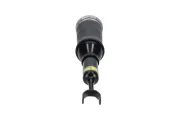 Luftfederbein Vorderachse KAVO PARTS SAS-10046