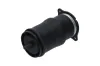 Luftfeder, Fahrwerk Hinterachse KAVO PARTS SAS-10053 Bild Luftfeder, Fahrwerk Hinterachse KAVO PARTS SAS-10053
