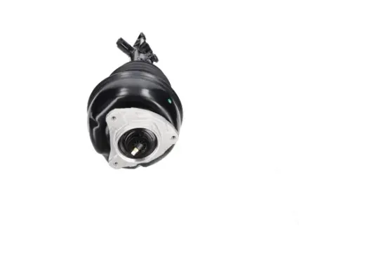 Luftfederbein Vorderachse links KAVO PARTS SAS-10072 Bild Luftfederbein Vorderachse links KAVO PARTS SAS-10072