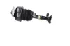 Luftfederbein Vorderachse links KAVO PARTS SAS-10072 Bild Luftfederbein Vorderachse links KAVO PARTS SAS-10072