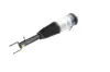 Luftfederbein Vorderachse KAVO PARTS SAS-10074