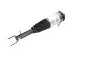 Luftfederbein Vorderachse KAVO PARTS SAS-10074