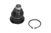 Trag-/F&uuml;hrungsgelenk Vorderachse unten KAVO PARTS SBJ-10011