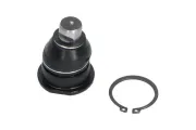 Trag-/Führungsgelenk Vorderachse unten KAVO PARTS SBJ-10011