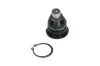 Trag-/Führungsgelenk Vorderachse unten KAVO PARTS SBJ-10011 Bild Trag-/Führungsgelenk Vorderachse unten KAVO PARTS SBJ-10011