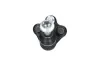 Trag-/Führungsgelenk KAVO PARTS SBJ-10018 Bild Trag-/Führungsgelenk KAVO PARTS SBJ-10018