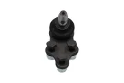 Trag-/Führungsgelenk Vorderachse außen links rechts unten KAVO PARTS SBJ-1010