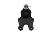 Trag-/Führungsgelenk Vorderachse unten KAVO PARTS SBJ-1503