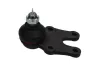 Trag-/Führungsgelenk Vorderachse unten KAVO PARTS SBJ-1503 Bild Trag-/Führungsgelenk Vorderachse unten KAVO PARTS SBJ-1503