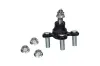 Trag-/Führungsgelenk KAVO PARTS SBJ-2034 Bild Trag-/Führungsgelenk KAVO PARTS SBJ-2034