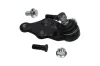 Trag-/Führungsgelenk KAVO PARTS SBJ-3034 Bild Trag-/Führungsgelenk KAVO PARTS SBJ-3034