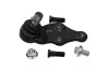 Trag-/Führungsgelenk KAVO PARTS SBJ-3034 Bild Trag-/Führungsgelenk KAVO PARTS SBJ-3034