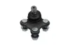 Trag-/Führungsgelenk KAVO PARTS SBJ-3041