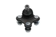 Trag-/Führungsgelenk KAVO PARTS SBJ-3041
