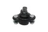 Trag-/Führungsgelenk KAVO PARTS SBJ-3041 Bild Trag-/Führungsgelenk KAVO PARTS SBJ-3041