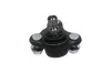 Trag-/Führungsgelenk KAVO PARTS SBJ-3042 Bild Trag-/Führungsgelenk KAVO PARTS SBJ-3042