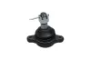 Trag-/Führungsgelenk KAVO PARTS SBJ-4509 Bild Trag-/Führungsgelenk KAVO PARTS SBJ-4509