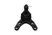 Trag-/Führungsgelenk Vorderachse außen unten KAVO PARTS SBJ-4530