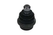 Trag-/Führungsgelenk Vorderachse unten KAVO PARTS SBJ-6504