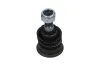 Trag-/F&uuml;hrungsgelenk Vorderachse unten KAVO PARTS SBJ-6508
