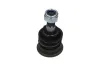 Trag-/Führungsgelenk Vorderachse unten KAVO PARTS SBJ-6508 Bild Trag-/Führungsgelenk Vorderachse unten KAVO PARTS SBJ-6508