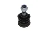 Trag-/Führungsgelenk Vorderachse unten KAVO PARTS SBJ-6508 Bild Trag-/Führungsgelenk Vorderachse unten KAVO PARTS SBJ-6508