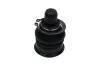 Trag-/Führungsgelenk KAVO PARTS SBJ-6541 Bild Trag-/Führungsgelenk KAVO PARTS SBJ-6541