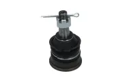 Trag-/Führungsgelenk Vorderachse unten KAVO PARTS SBJ-6560