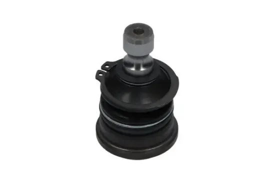 Trag-/Führungsgelenk KAVO PARTS SBJ-7501 Bild Trag-/Führungsgelenk KAVO PARTS SBJ-7501