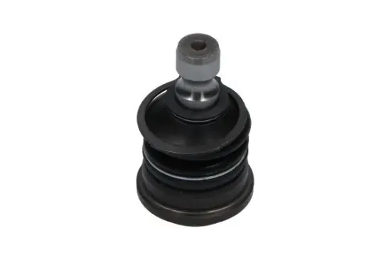Trag-/Führungsgelenk KAVO PARTS SBJ-7501 Bild Trag-/Führungsgelenk KAVO PARTS SBJ-7501