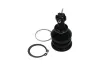 Trag-/Führungsgelenk KAVO PARTS SBJ-9034 Bild Trag-/Führungsgelenk KAVO PARTS SBJ-9034