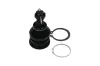 Trag-/Führungsgelenk KAVO PARTS SBJ-9034 Bild Trag-/Führungsgelenk KAVO PARTS SBJ-9034