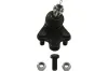Trag-/F&uuml;hrungsgelenk KAVO PARTS SBJ-9040
