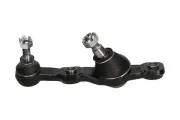 Trag-/Führungsgelenk Vorderachse rechts außen unten KAVO PARTS SBJ-9080