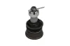 Trag-/Führungsgelenk Vorderachse unten KAVO PARTS SBJ-9094 Bild Trag-/Führungsgelenk Vorderachse unten KAVO PARTS SBJ-9094