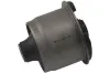 Lagerung, Lenker Hinterachse unten KAVO PARTS SCR-9139