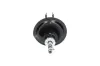 Stoßdämpfer Vorderachse links KAVO PARTS SSA-10053 Bild Stoßdämpfer Vorderachse links KAVO PARTS SSA-10053