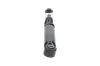 Stoßdämpfer Hinterachse KAVO PARTS SSA-10076