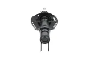 Stoßdämpfer Vorderachse KAVO PARTS SSA-10158