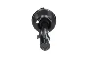 Stoßdämpfer Vorderachse rechts KAVO PARTS SSA-10195