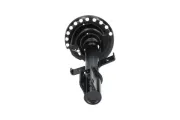 Stoßdämpfer Vorderachse KAVO PARTS SSA-10236