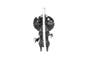 Stoßdämpfer Vorderachse rechts KAVO PARTS SSA-10437