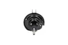 Stoßdämpfer Vorderachse KAVO PARTS SSA-10480 Bild Stoßdämpfer Vorderachse KAVO PARTS SSA-10480