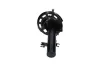 Sto&szlig;d&auml;mpfer Vorderachse rechts KAVO PARTS SSA-10597