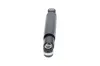 Sto&szlig;d&auml;mpfer Hinterachse KAVO PARTS SSA-10604