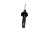 Stoßdämpfer Hinterachse KAVO PARTS SSA-11127 Bild Stoßdämpfer Hinterachse KAVO PARTS SSA-11127